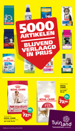 Assen, Groningen & Zwolle