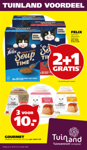 Assen, Groningen & Zwolle