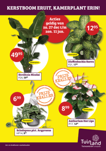 Kerstsale bij Tuinland Assen, Groningen & Zwolle