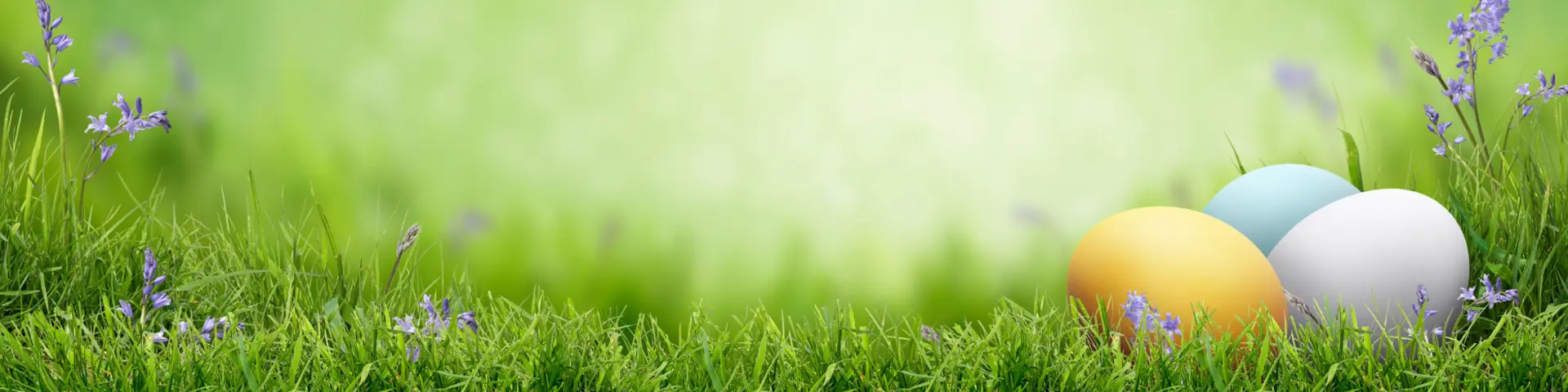 Voorjaar bij Tuinland