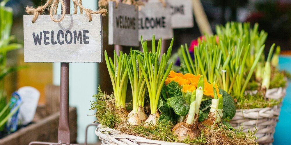 Bloembollen planten: hoe en wanneer? - Tuinland | Ht Tuincentrum van het  Noorden | Volop inspiratie