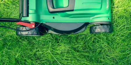 Gazon onderhouden: Tips voor een prachtig gazon