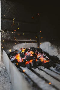 Houtskool of briketten: wat kies jij voor je barbecue?