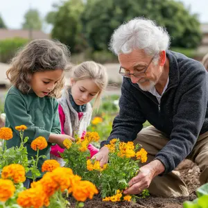 Jonge plantjes in de grond poten