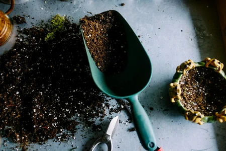 Potgrond of tuinaarde? Zo kies je de juiste basis voor jouw planten