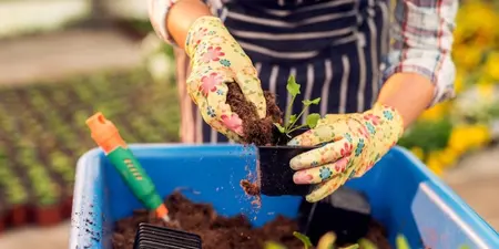 Slim tuinieren met de moestuin zaaikalender