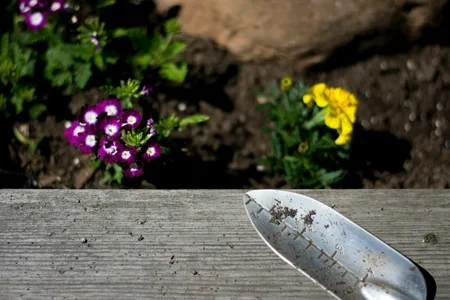 Tuinaccessoires voor herfst en regen | Tuinland