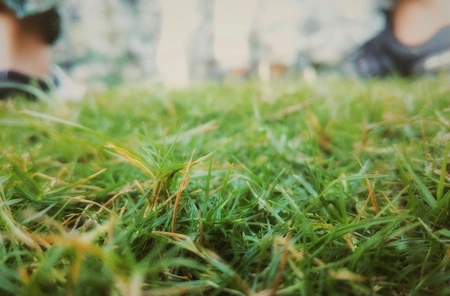 Zomer opruimen in de tuin | Tips voor een frisse en verzorgde tuin