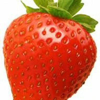 Aardbeienplant 'Gorella' - afbeelding 2