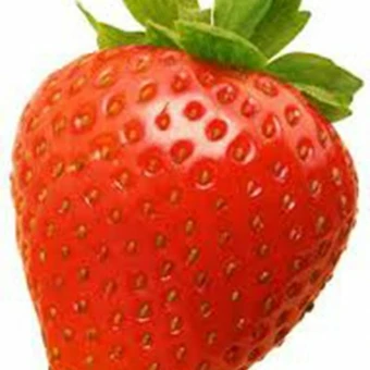 Aardbeienplant 'Gorella' - P10,5cm - afbeelding 2