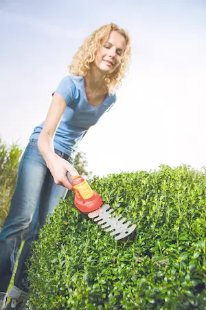 ACCUBUXUS FINESSE LI-ION PW 30B - afbeelding 2