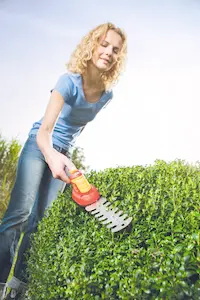 ACCUBUXUS FINESSE LI-ION PW 30B - afbeelding 2