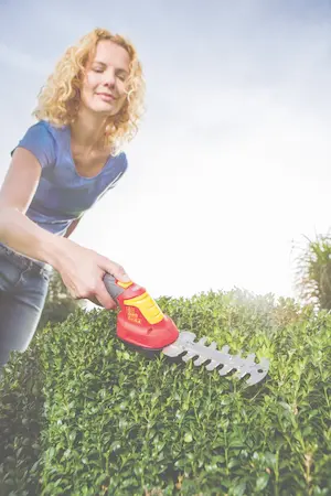ACCUBUXUS FINESSE LI-ION PW 30B - afbeelding 3