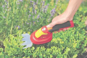 ACCUGRASSCH FINESSE LIION PW 30R - afbeelding 2