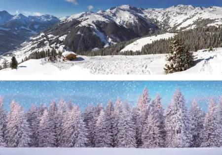 ACHTERGROND DUBBELZIJDIG-WINTERSPORT/BOS 98X33CM