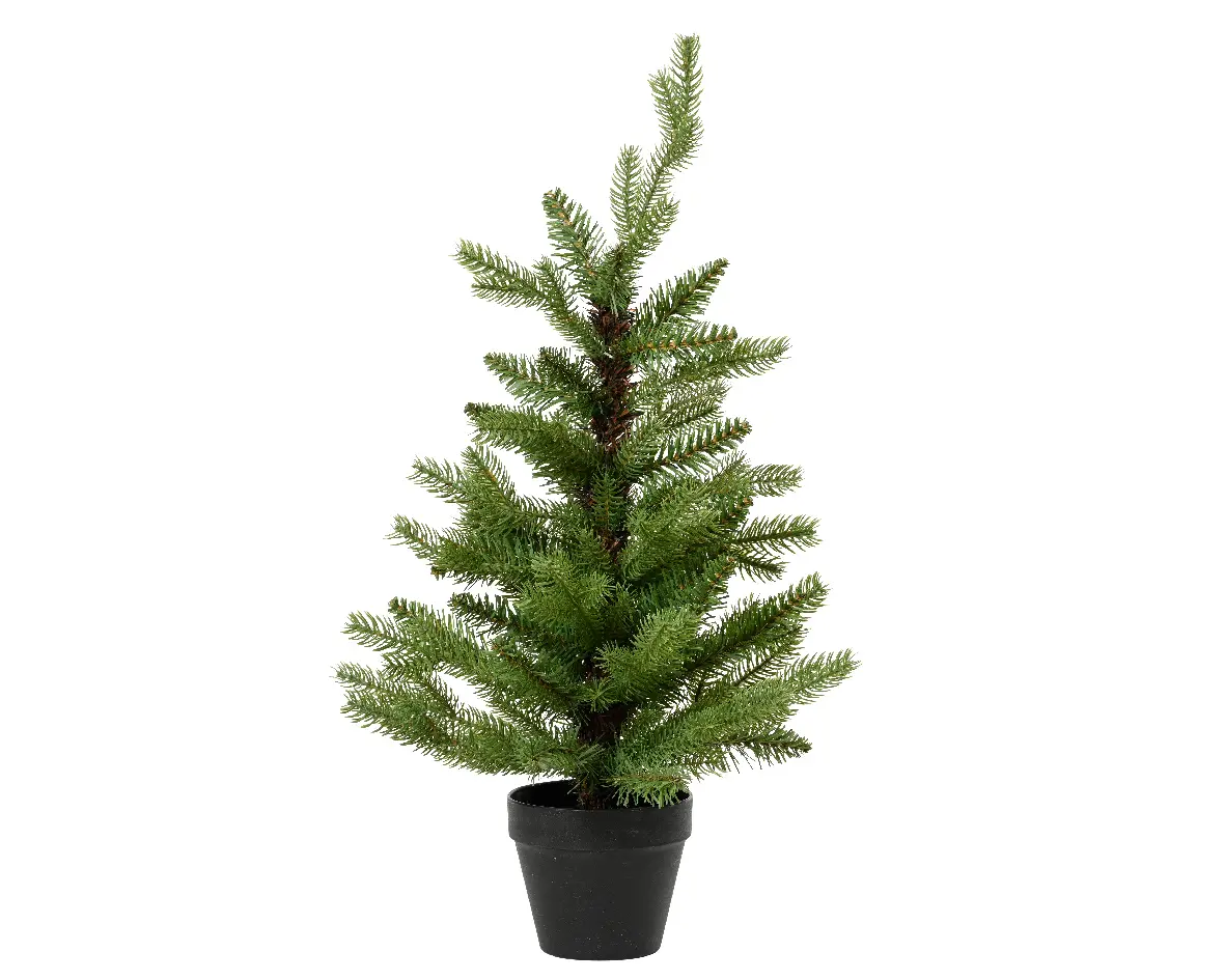 Allison Mini Tree - D40/H60cm - Tuinland | Hét Tuincentrum van het ...