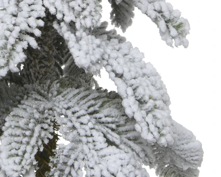 Alpine Mini Boom Snowy - D25/H45cm - afbeelding 2