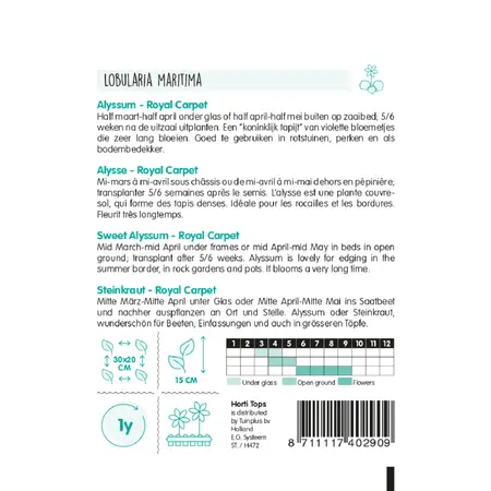 Alyssum 'Royal Carpet' - afbeelding 2