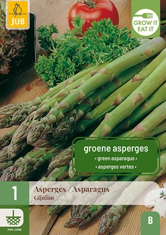 Asperge 'Gijnlim' - Groen