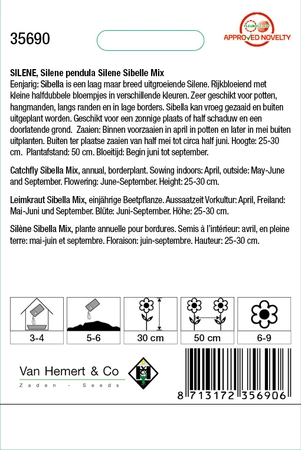 Avondskoekoeksbloem 'Silene Sibelle' - afbeelding 2