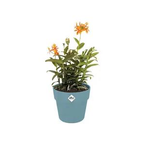 B.For Original Rond - D22/H20cm Blauw - afbeelding 3