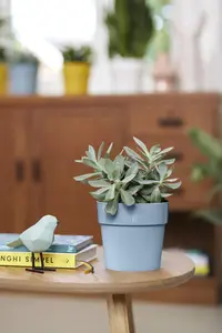 B.For Original Rond - D22/H20cm Blauw - afbeelding 5