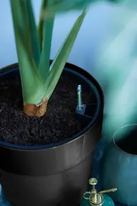 B.For Original Rond - D22/H20cm Zwart - afbeelding 4