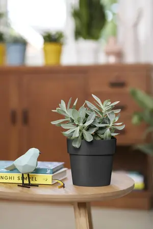 B.For Original Rond - D22/H20cm Zwart - afbeelding 5