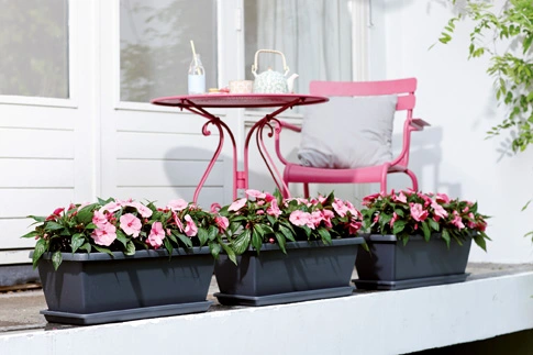 Balkonbak Barcelona XL - 60cm - Antraciet - afbeelding 4