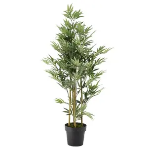Bamboo in Pot - afbeelding 1