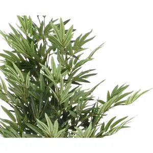 Bamboo in Pot - afbeelding 3