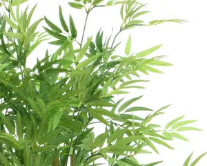 BAMBOO IN POT L30H120CM GREEN - afbeelding 5