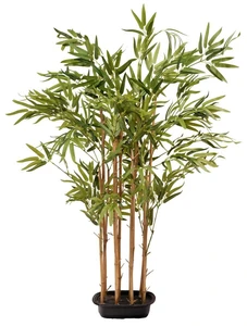 BAMBOO IN POT L40H180CM GREEN - afbeelding 3