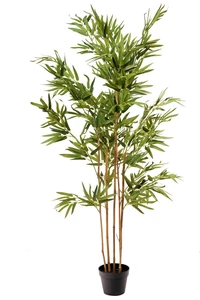 BAMBOO IN POT L50H158CM GREEN - afbeelding 2