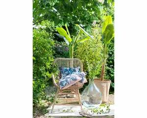 BANANA IN POT L60H180CM GREEN - afbeelding 5
