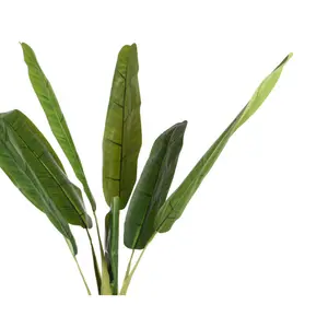 BANANA IN POT L80H280CM GREEN - afbeelding 2