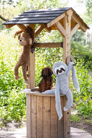 Beeztees Jungle Aap Vik Knuffel XL - afbeelding 2