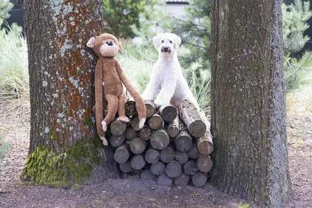 Beeztees Jungle Aap Vik Knuffel XL - afbeelding 3