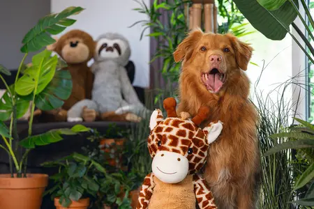 Beeztees Jungle Giraf Knuffel XL - afbeelding 4