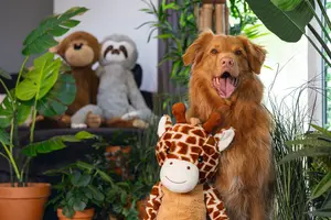 Beeztees Jungle Giraf Knuffel XL - afbeelding 4