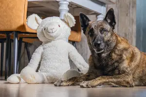 Beeztees Schaap Jessy Knuffel XL - afbeelding 2