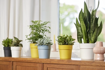 Bloempot B.For Original Rond - D14/H13cm Geel - afbeelding 3