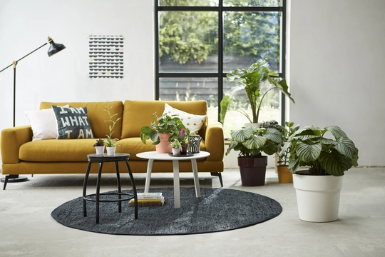 Bloempot B.For Original Rond - D14/H13cm Wit - afbeelding 3