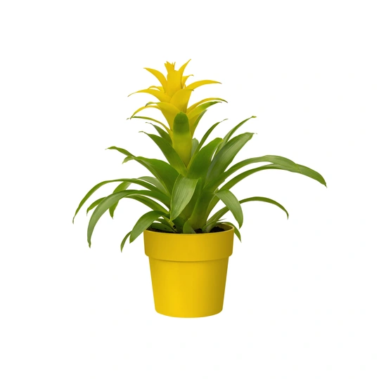 Bloempot B.For Original Rond - D16/H15cm Geel - afbeelding 2