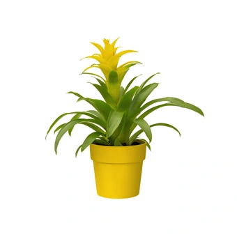 Bloempot B.For Original Rond - D16/H15cm Geel - afbeelding 2