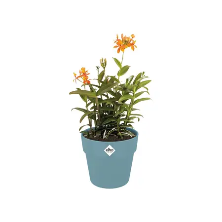 Bloempot B.For Original Rond - D22/H20cm Blauw - afbeelding 3