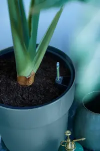 Bloempot B.For Original Rond - D22/H20cm Blauw - afbeelding 4