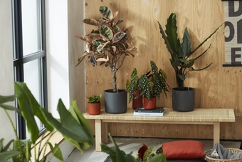 Bloempot B.For Soft Rond - D16/H15cm Antraciet - afbeelding 2