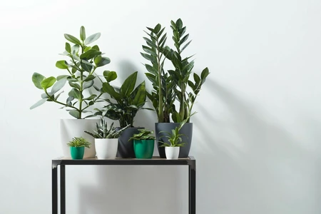 Bloempot Brussels Rond - D18/H17cm Wit - afbeelding 4