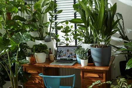 Bloempot Brussels Rond - D22/H21cm Wit - afbeelding 5